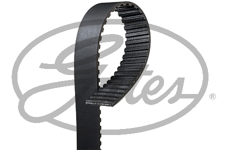 BANDA DISTRIBUCION DODGE SHADOW 4L 2.5 LTS 1988 SPIRIT 4L 2.2 LTS 1988 126 CANALES ANCHO 24MM LARGO 1200MM =85950032