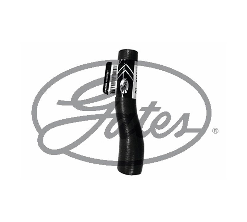 MANGUERA AGUA DE PASO VOLKSWAGEN JETTA 4L 1.8 LTS 1987-2000 GOLF 4L 1.8 LTS 1987-2000