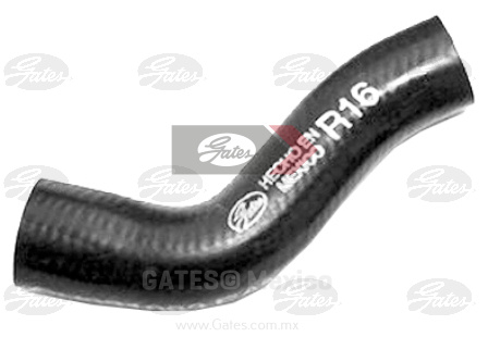 MANGUERA AGUA DE PASO VOLKSWAGEN ATLANTIC 4L 1.6 LTS 1981 ATLANTIC 4L 1.7 LTS 1982-1986 ATLANTIC 4L 1.8 LTS 1986-1987 CARIBE 4L 1.6 LTS 1980-1981 CARIBE 4L 1.7 LTS 1982-1986 CARIBE 4L 1.8 LTS 1986-1987