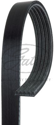 BANDA MICRO V NISSAN TRUCK FRONTIER V6 3.3 LTS 2001 XTERRA V6 3.3 LTS 2000-2001 5 CANALES ANCHO 18MM LARGO 805MM