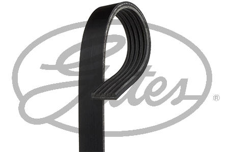 BANDA MICRO V CHEVROLET CAVALIER 4L 2.2 LTS 2002-2005 PONTIAC G4 4L 2.2 LTS 2006 PONTIAC G5 4L 2.2 LTS 2007-2008 SUNFIRE 4L 2.2 LTS 2003 SUBARU TRUCK FORESTER 4L 2.4 LTS 2006-2012 SUBARU IMPREZA 4L 2.5 LTS 2006-2011