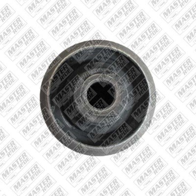 BUJE SUSPENSION RENAULT CLIO EUROPA 2007-2009 MEGANE 2004-2010 SCENIC 2004-2009 INFERIOR