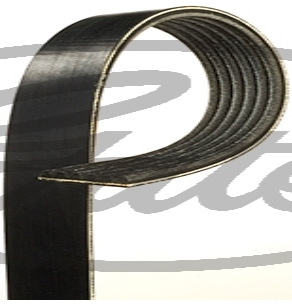 BANDA MICRO V NISSAN SENTRA 4L 2.5 LTS 2001-2006 6 CANALES ANCHO 20MM LARGO 2247MM 81606885