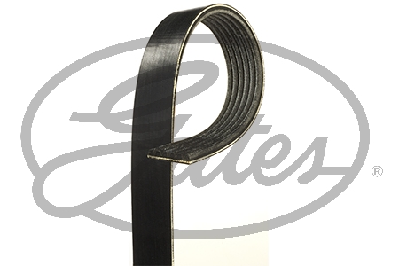 BANDA MICRO V DODGE ATTITUDE 4L 1.6 LTS 2012-2024 TOYOTA TRUCK RAV4 4L 2.5 LTS 2008-2018 TOYOTA CAMRY 4L 2.5 LTS 2011-2014 KIA RIO 4L 1.6 LTS 2016-2024 FORTE 4L 1.6 LTS 2018-2024 6 CANALES ANCHO 21MM LARGO 1256MM